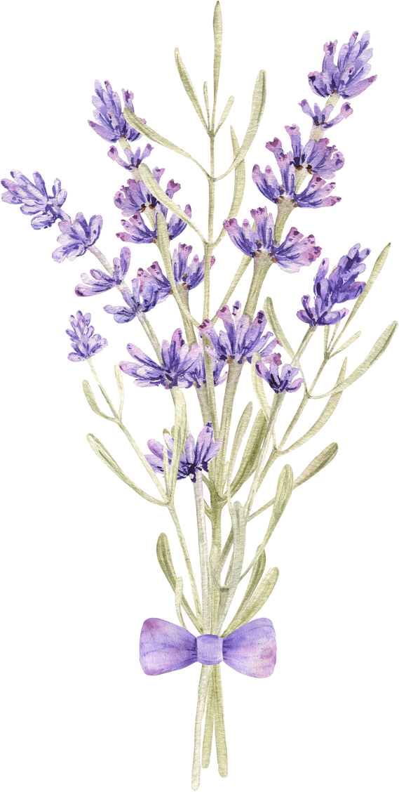 Watercolor lavender flower bouquet